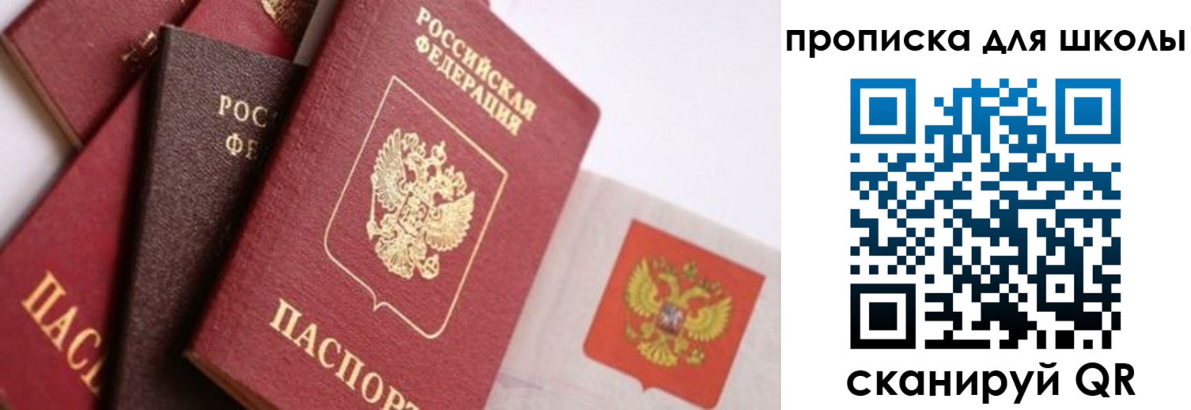 прописка поиск в Завитинске